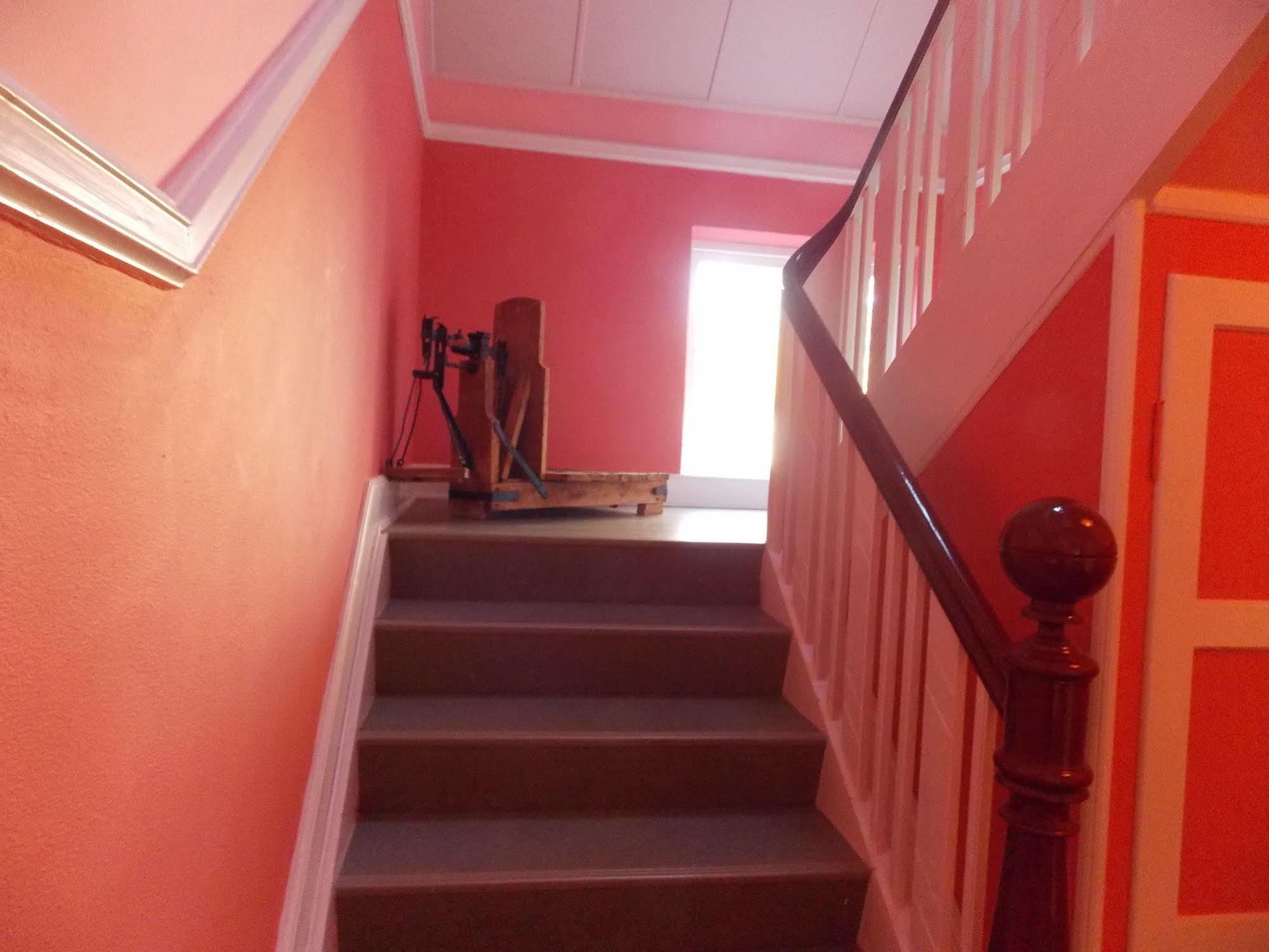 Nygammelso Bed & Breakfast Stege Exterior foto